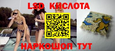 PSILOCYBIN Донецк